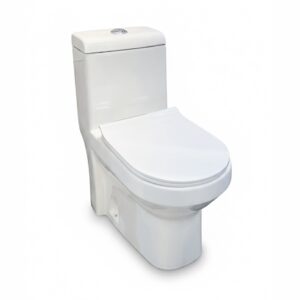 Inodoro All In One San Sebastian 858 71x38x79cm